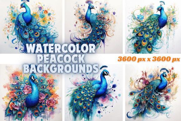 Watercolor Peacock Backgrounds: Elevate Your Creative Projects